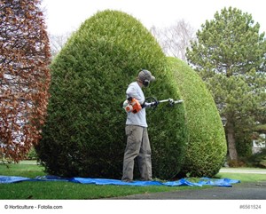Best Practices for Selecting a Professional Landscaper
