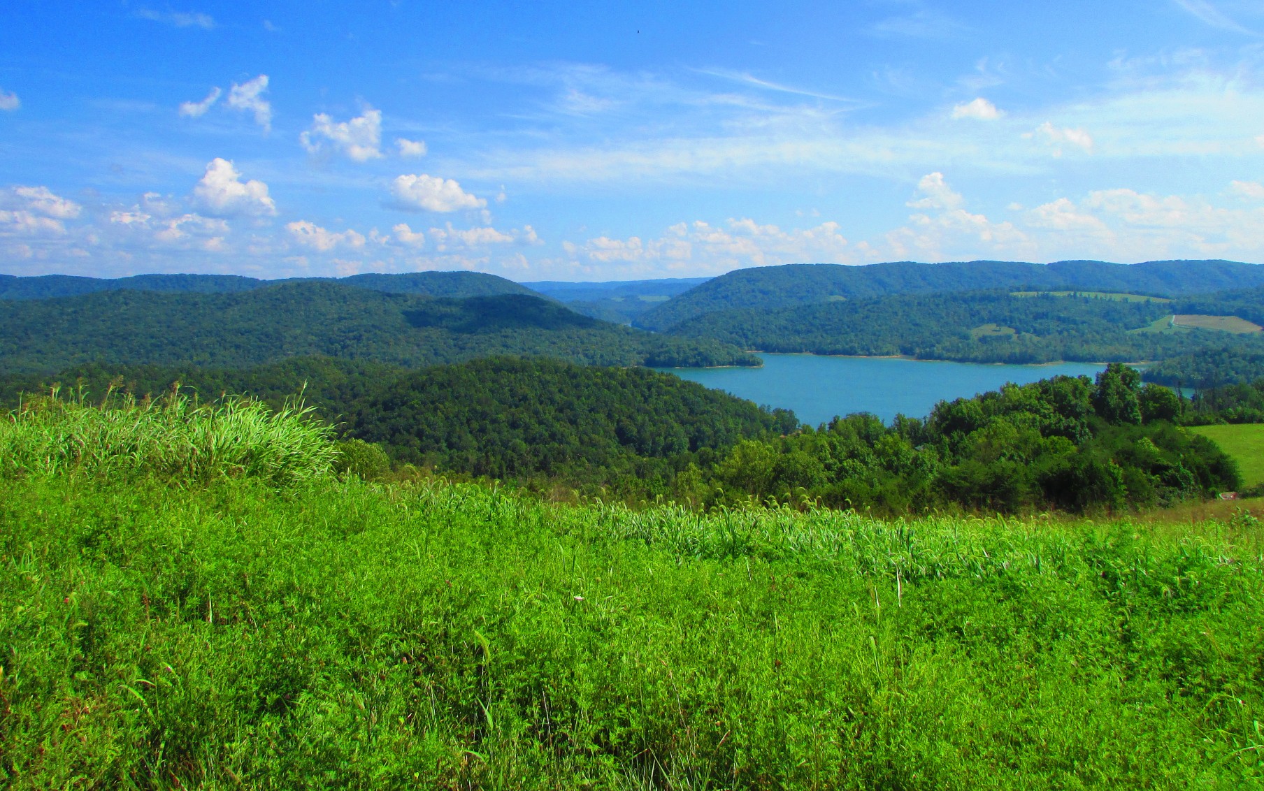 Home Lakeside Realty