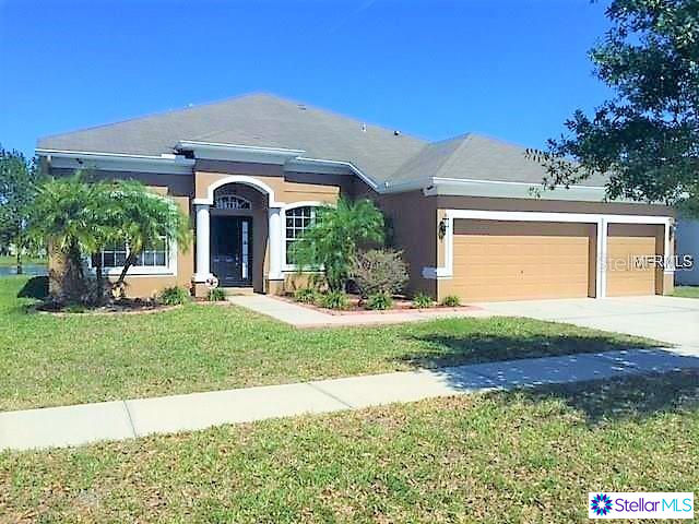 11717 Summer Springs Drive, Riverview, FL 33579