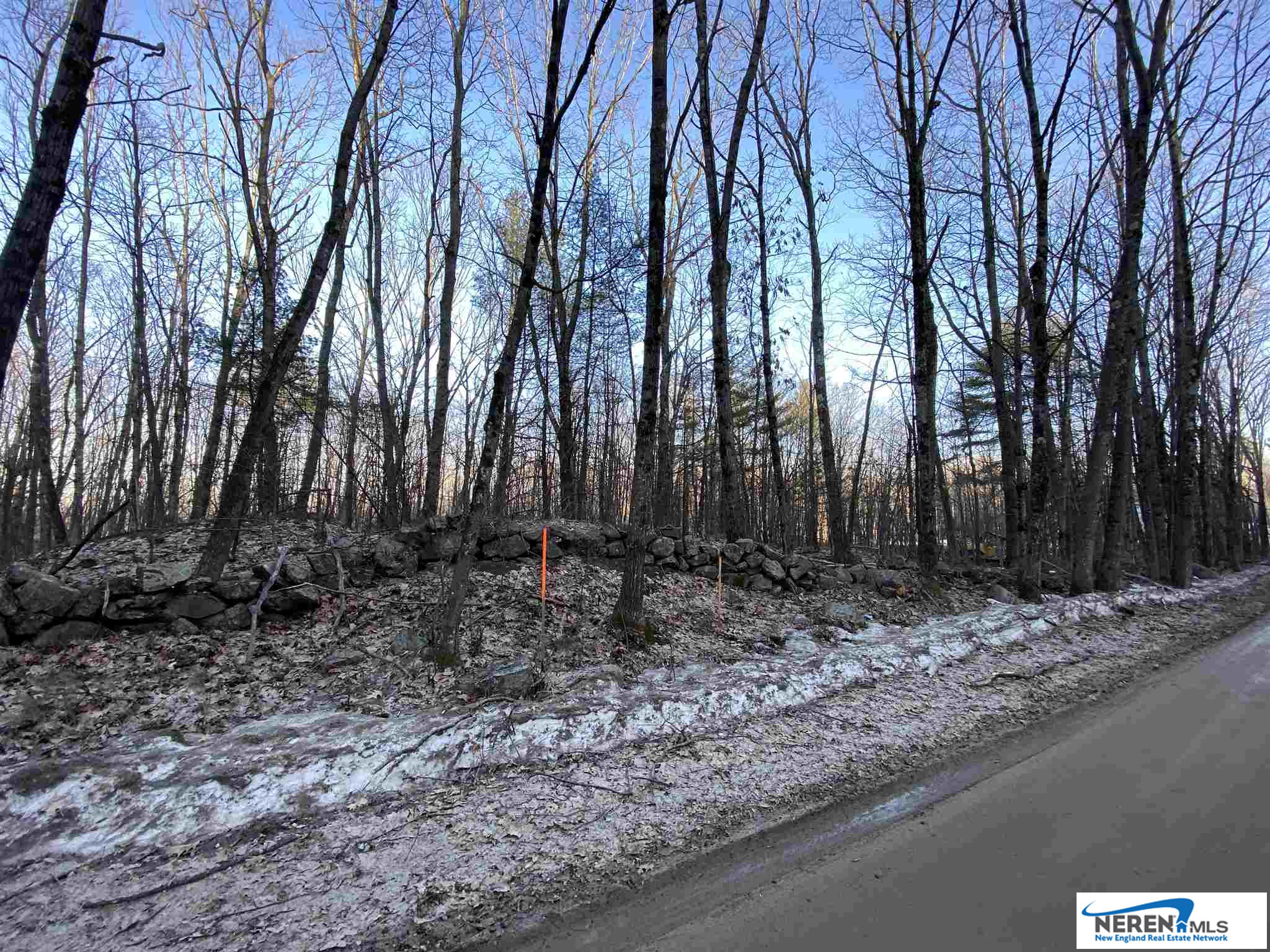 Lot 15-3 Raccoon Hill Road, Salisbury, NH 03268