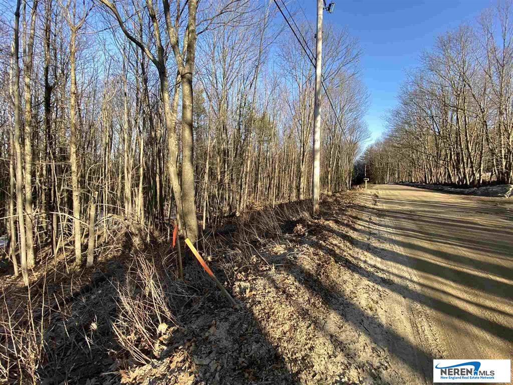 Lot 15-9 Raccoon Hill Road, Salisbury, NH 03268