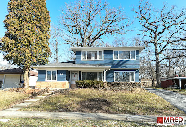 78 Blackhawk Drive, Park Forest, IL 60466