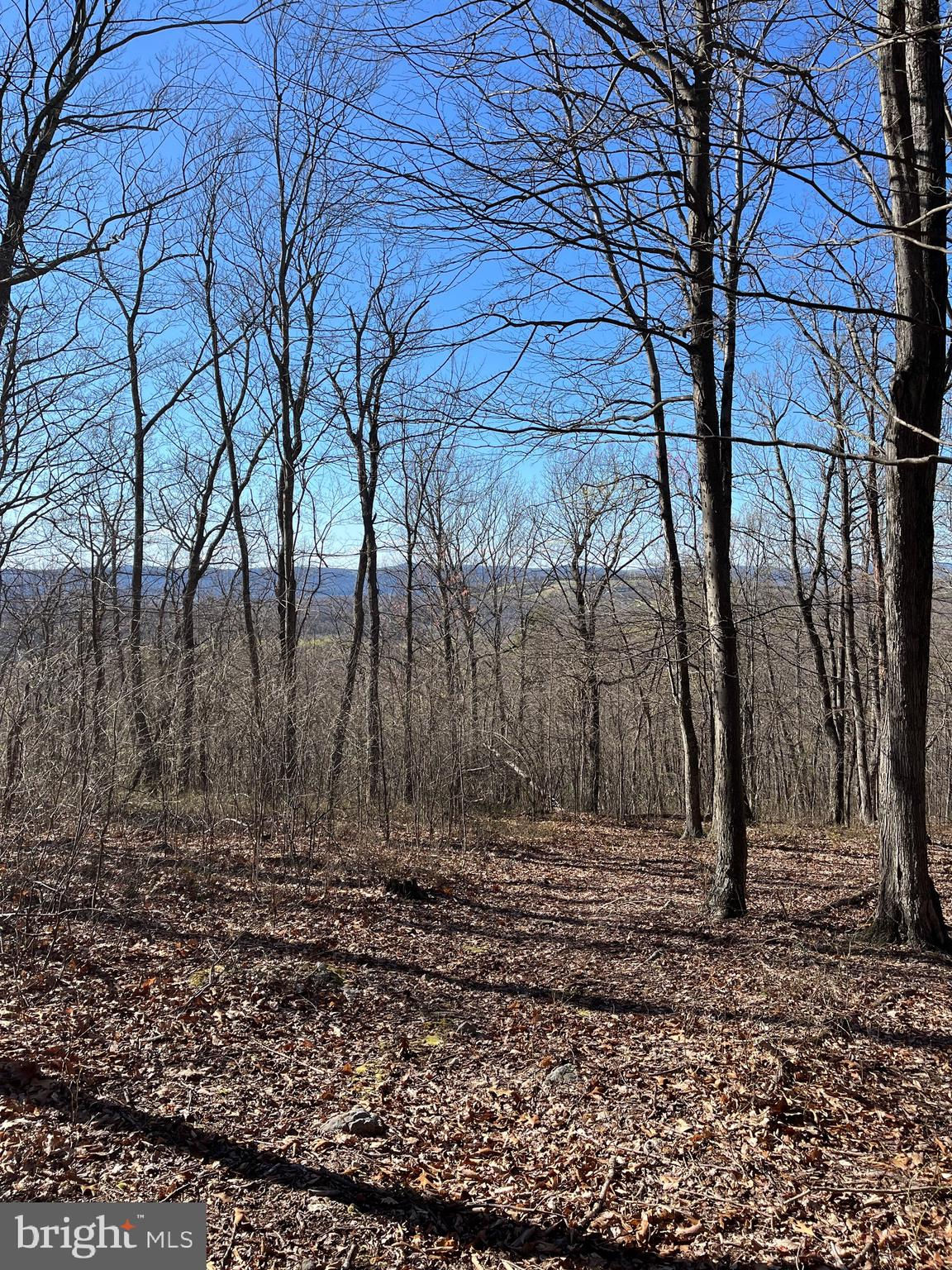 Bear Ridge Road, Yellow Spring, WV 26865 is now new to the market!