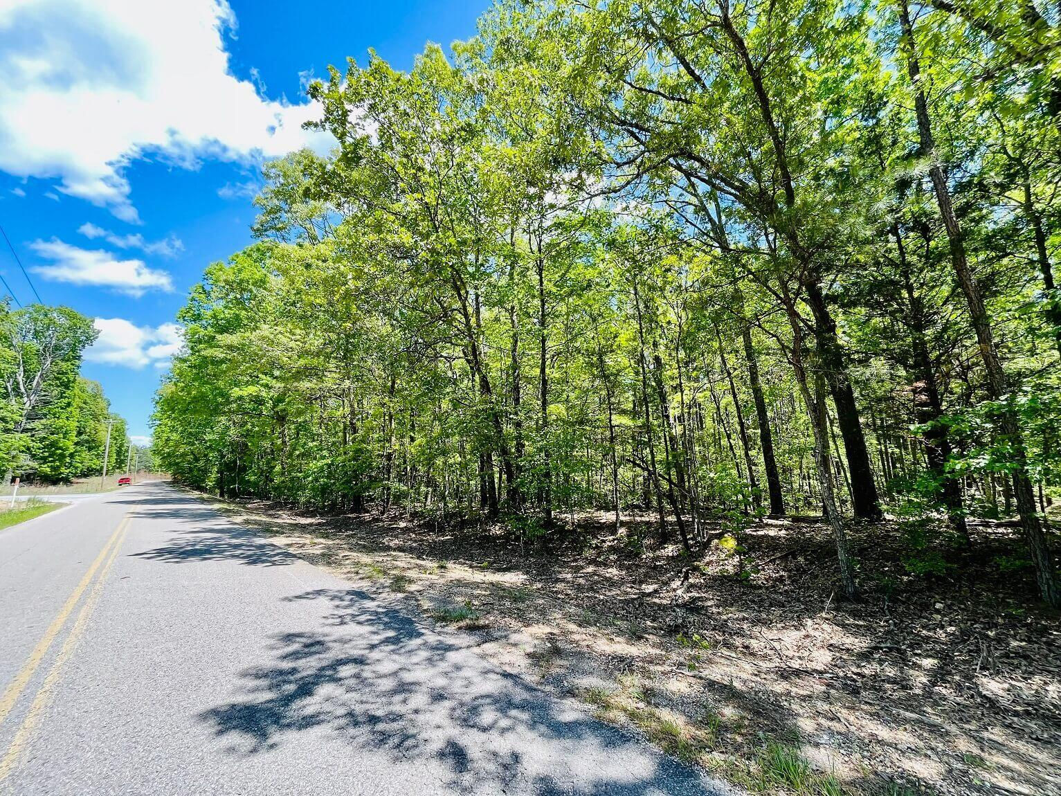 Rockport Mcillwain Road, Holliday, TN 38341