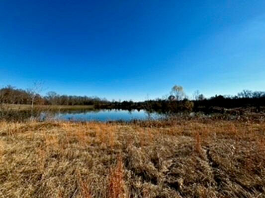 Ridge Farm Road, Saltillo, MS 38866