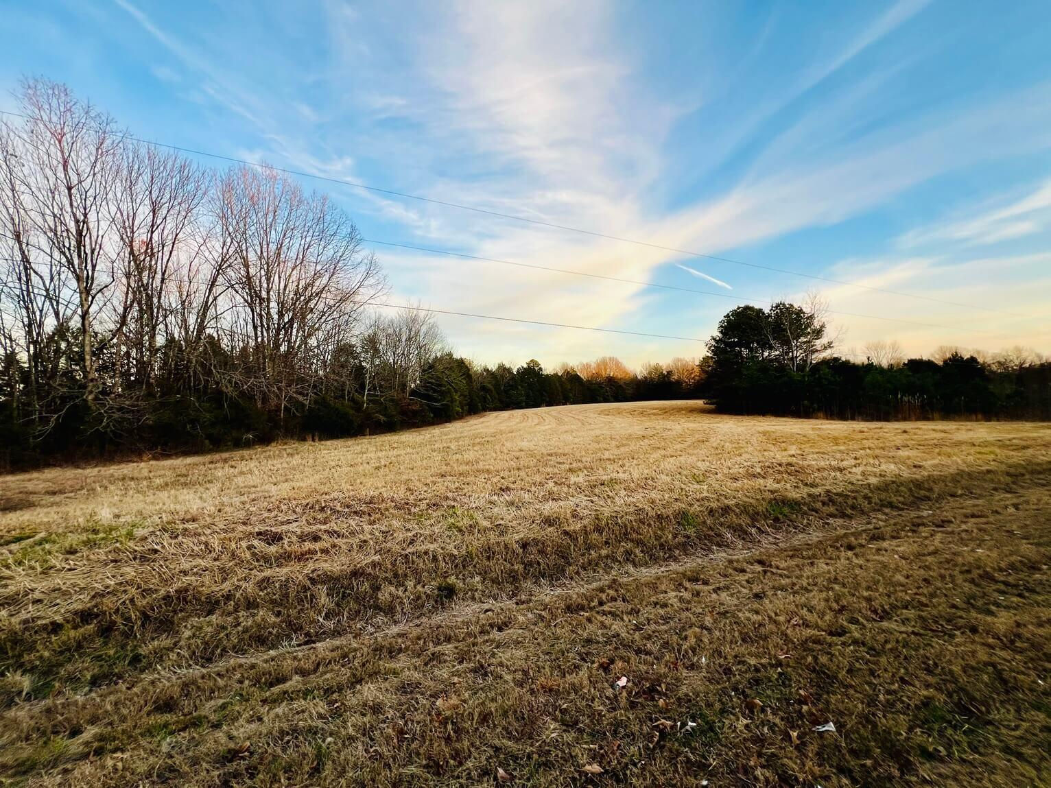 cr 6121, Baldwyn, MS 38824