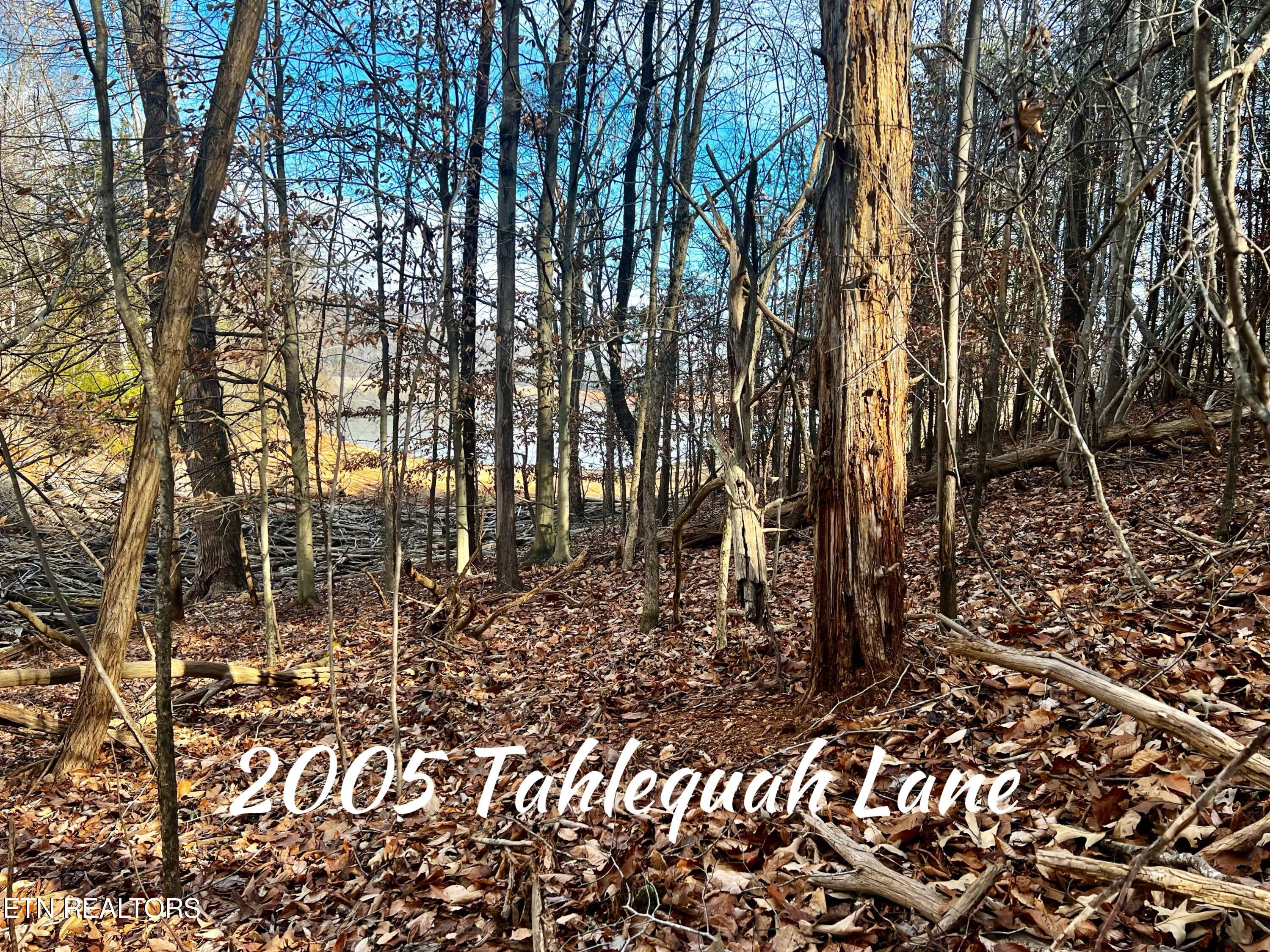 2005 Tahlequah Lane, Mooresburg, TN 37811