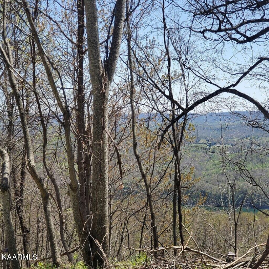 Lot 212 Clinch View Rd, New Tazewell, TN 37825