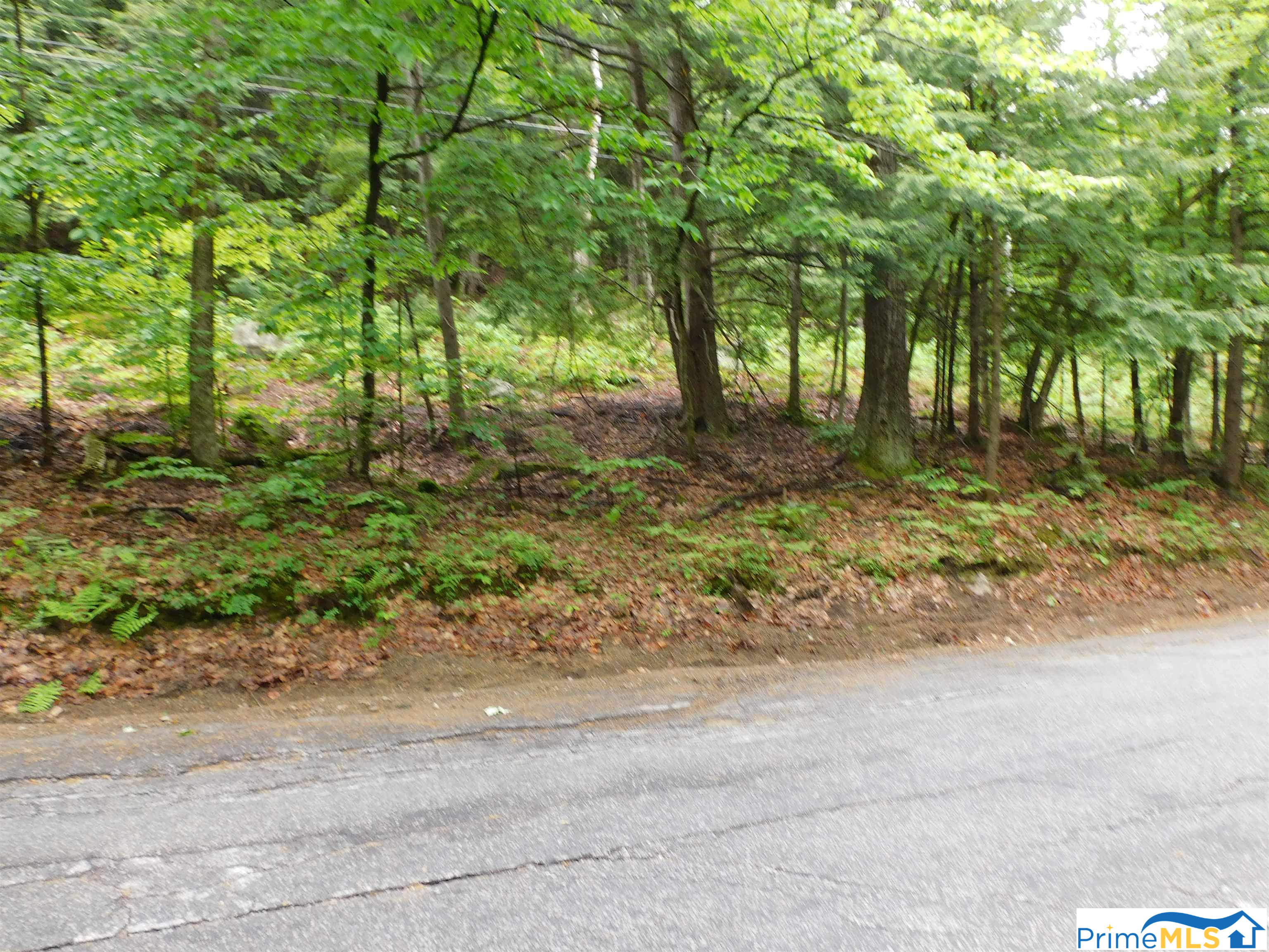 221 Texas Hill Road Lot 221-60-001, Plymouth, NH 03264