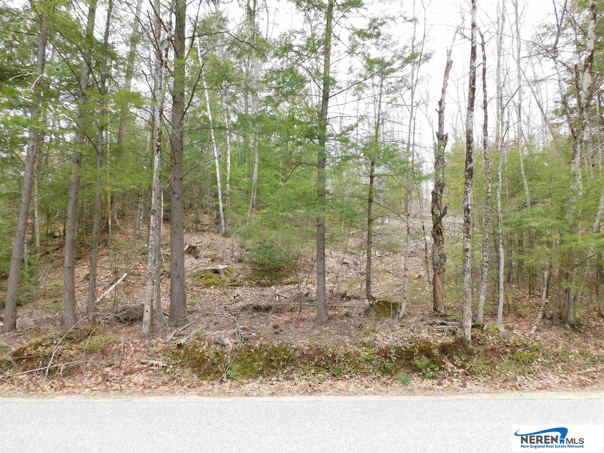 Lot 5 Seven Pines Road, Holderness, NH 03245