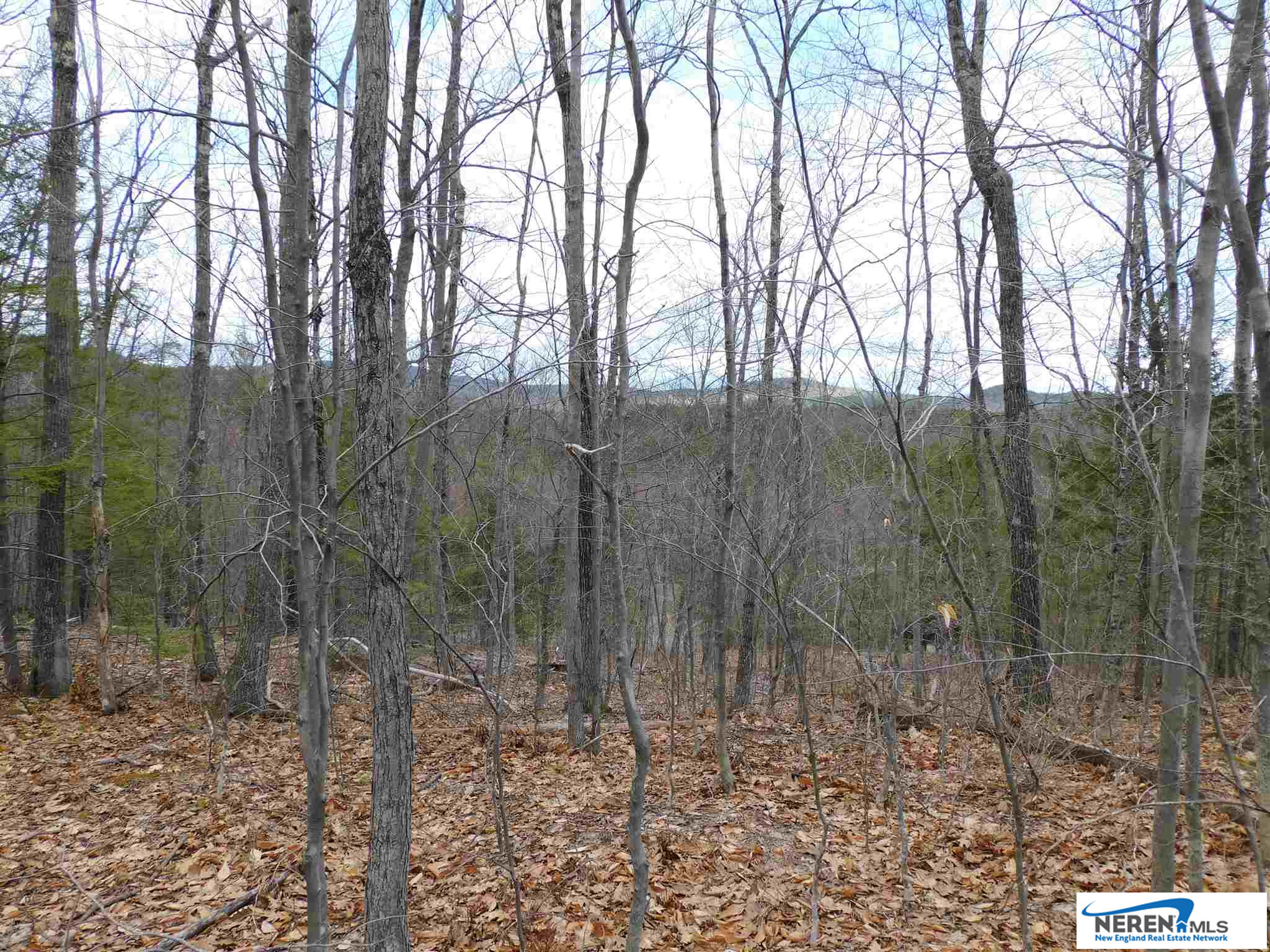 Lot 4 Seven Pines Road, Holderness, NH 03245