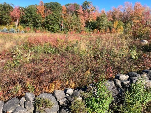 Lot 8 Ridge Rd Extension, Athol, MA 01331