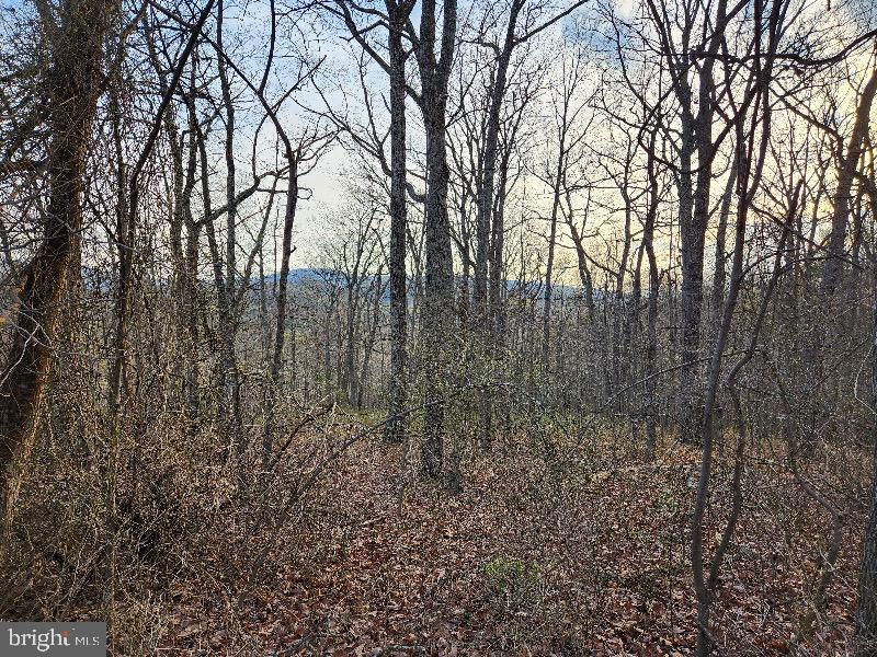 - Lot 30 Hillandale Road, Front Royal, VA 22630 is now new to the market!