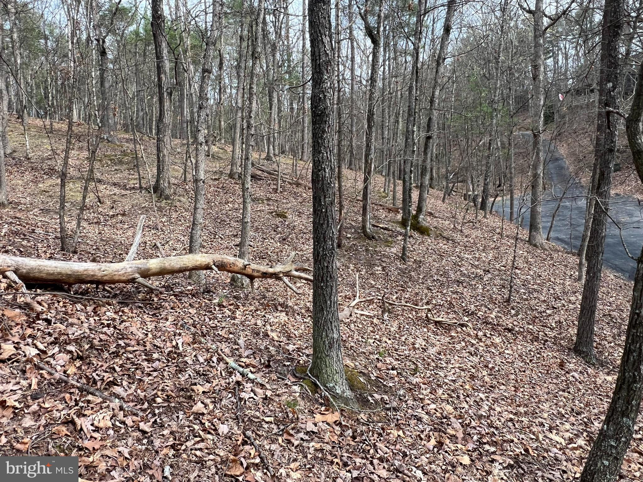 Another Property Sold - Lot 66 Dogwood Drive S, Basye, VA 22810