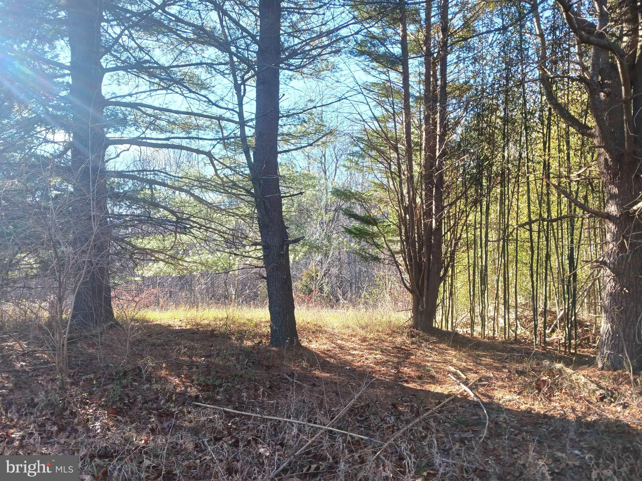 Another Property Sold - Moser Road, Boonsboro, MD 21713