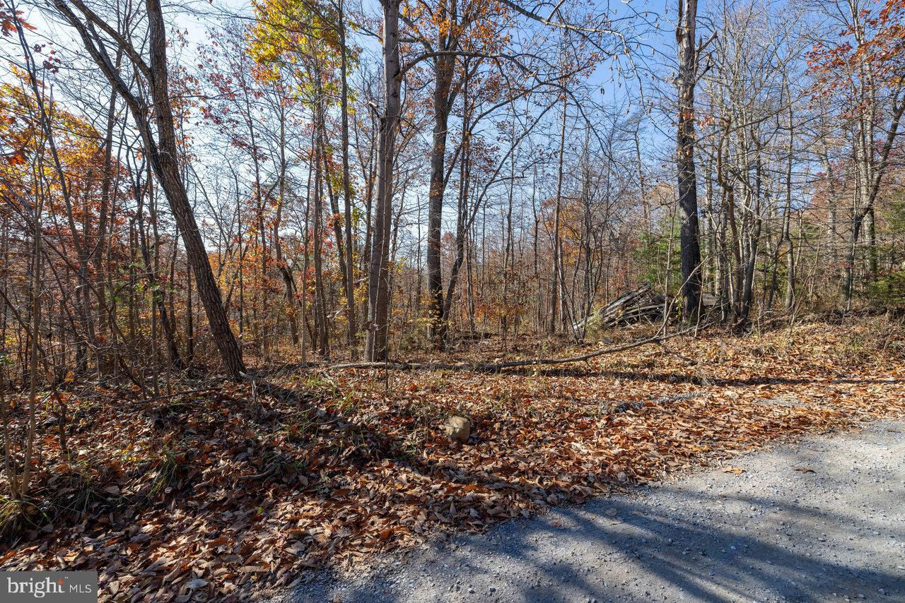 Another Property Sold - Lot G51 Deer Track Rd, Luray, VA 22835