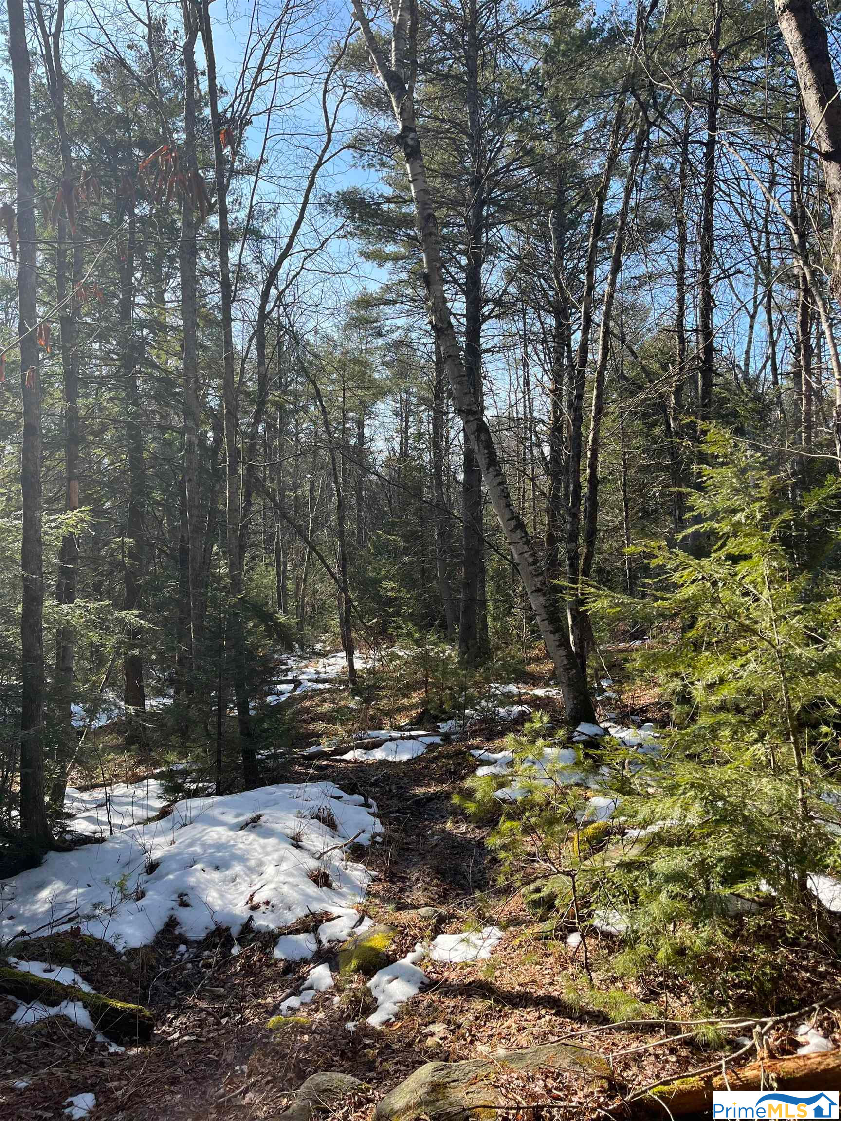 Map 8 Lot 706 New Hampshire 12 S Route, Fitzwilliam, NH 03447 is now new to the market