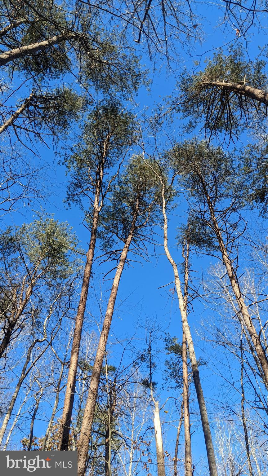 50 Bear Mountain Ln, Fredericksburg, VA 22406