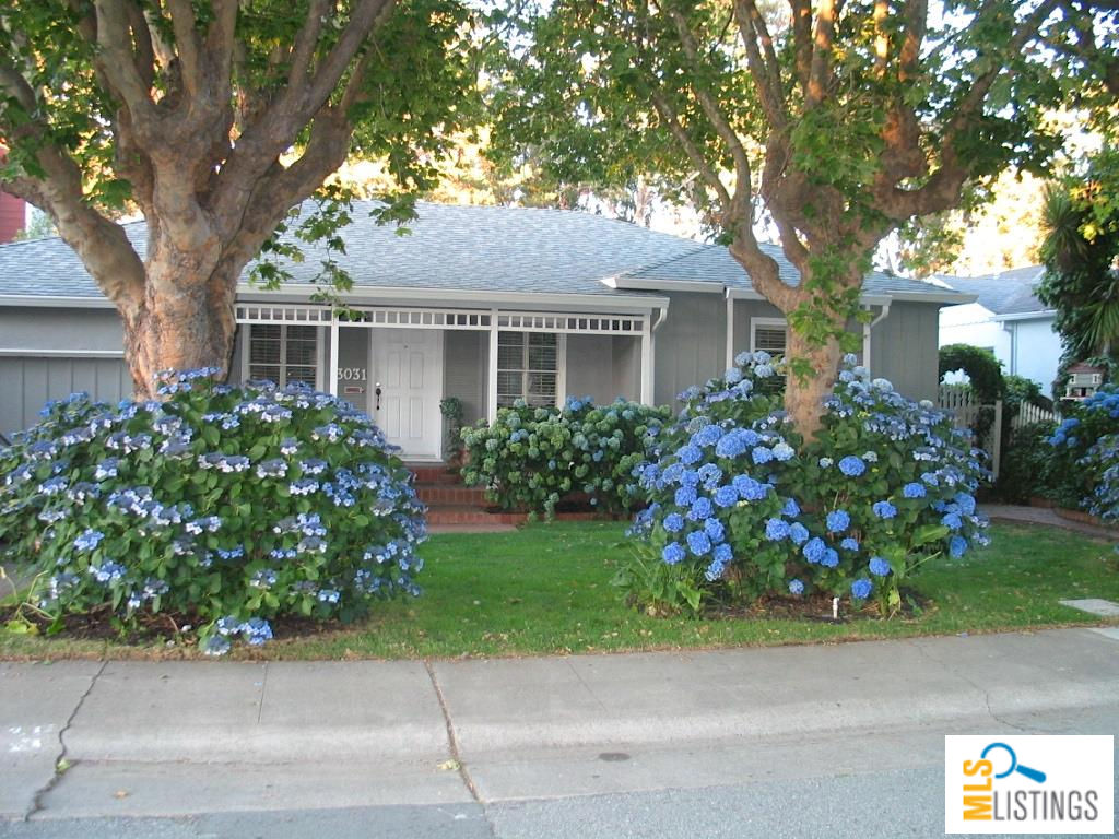 3031 Flores St, San Mateo, CA 94403