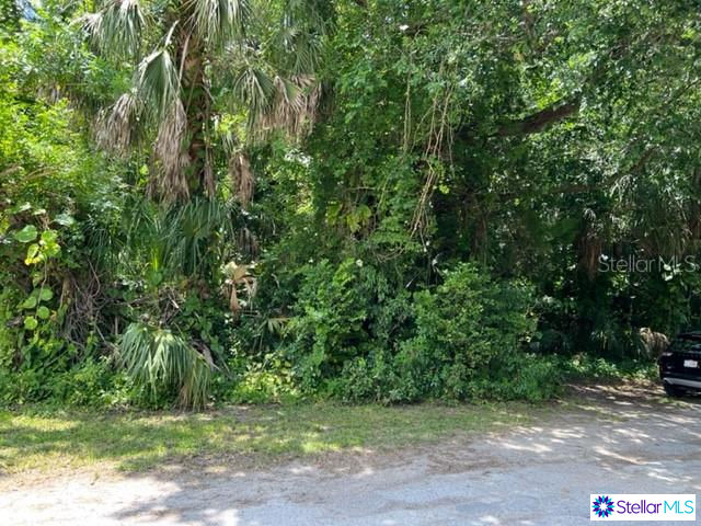 4602 Edith Street, New Port Richey, FL 34652