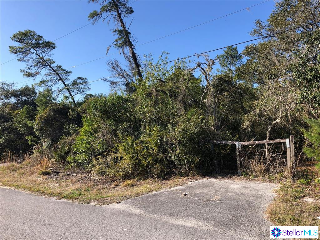 Tinley Road, New Port Richey, FL 34654