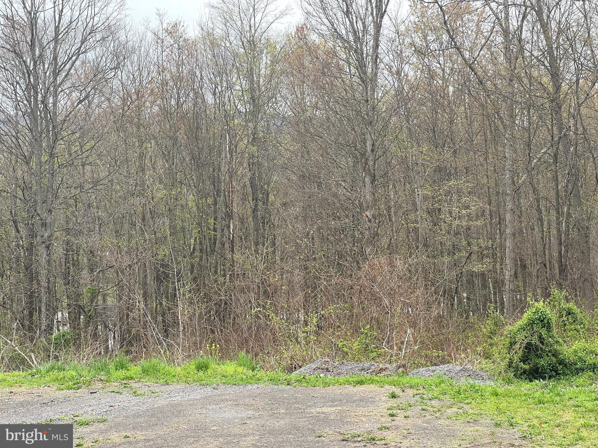 Lot # 20 Ridge Way Drive, Everett, PA 15537 is now new to the market!