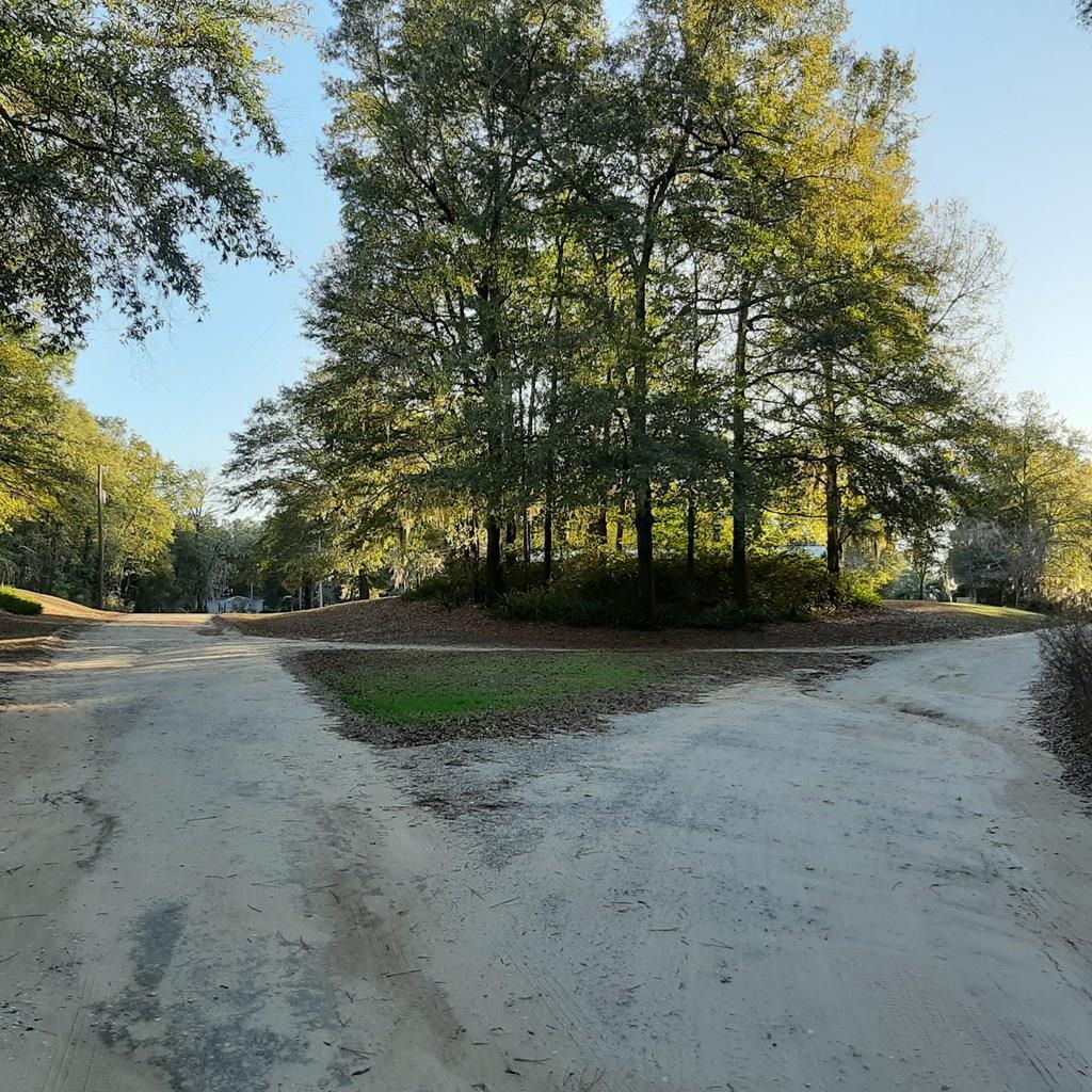 Another Property Sold 0 Birch Drive, Summerton, SC 29148