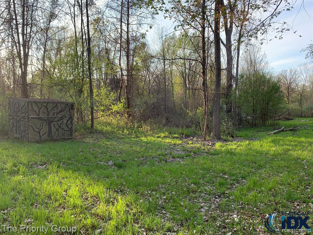000 E Shappie Road, Independence twp, MI 48348