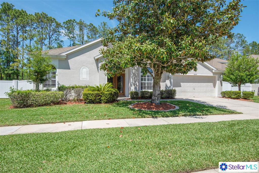 20719 Riverforest Drive, Land O Lakes, FL 34638