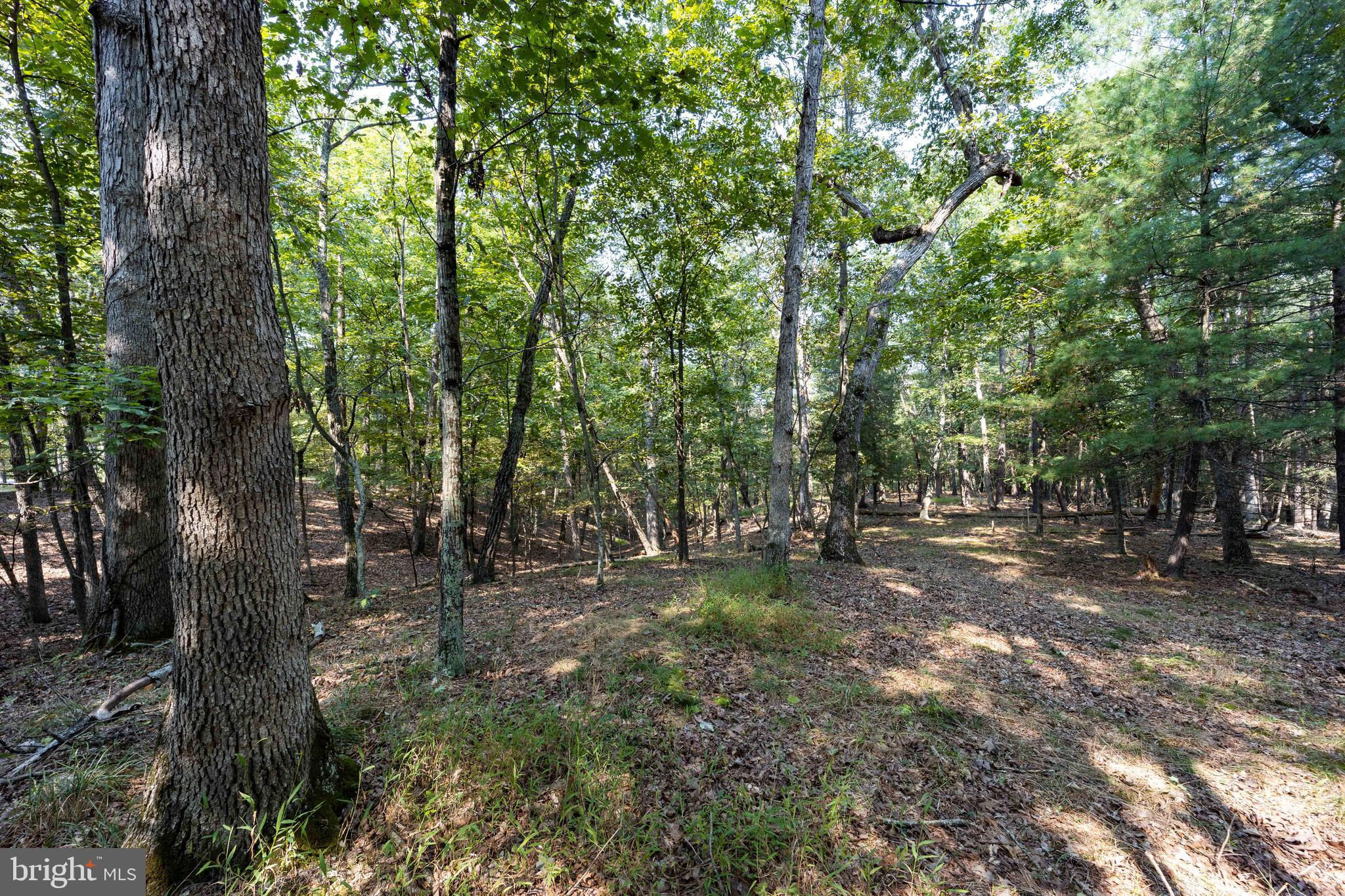 TBD Broomgrass Way, Gerrardstown, WV 25420 is now new to the market ...