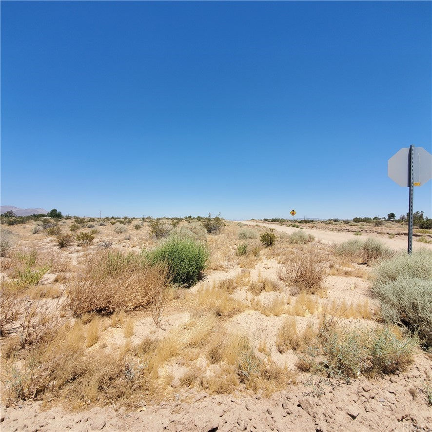 0 Manatee Road, Newberry Springs, CA 92365