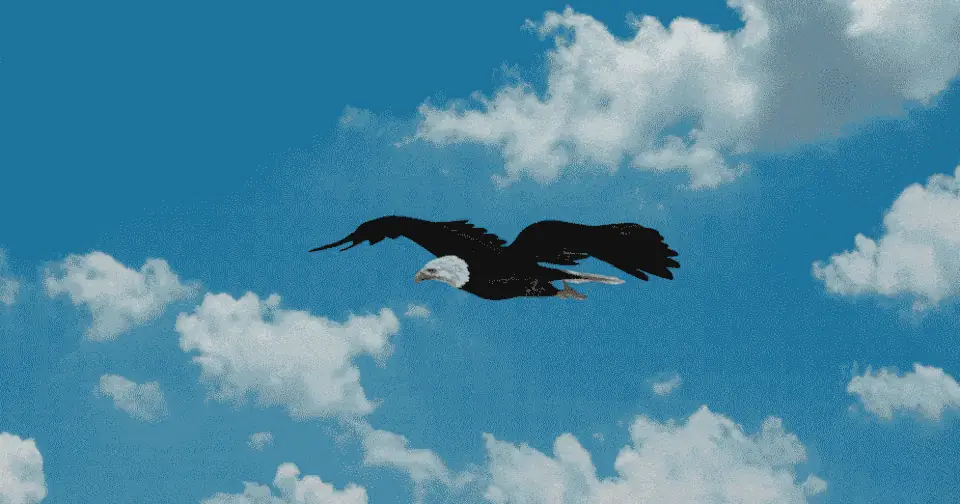 Do AI Companies Actually Care About America?