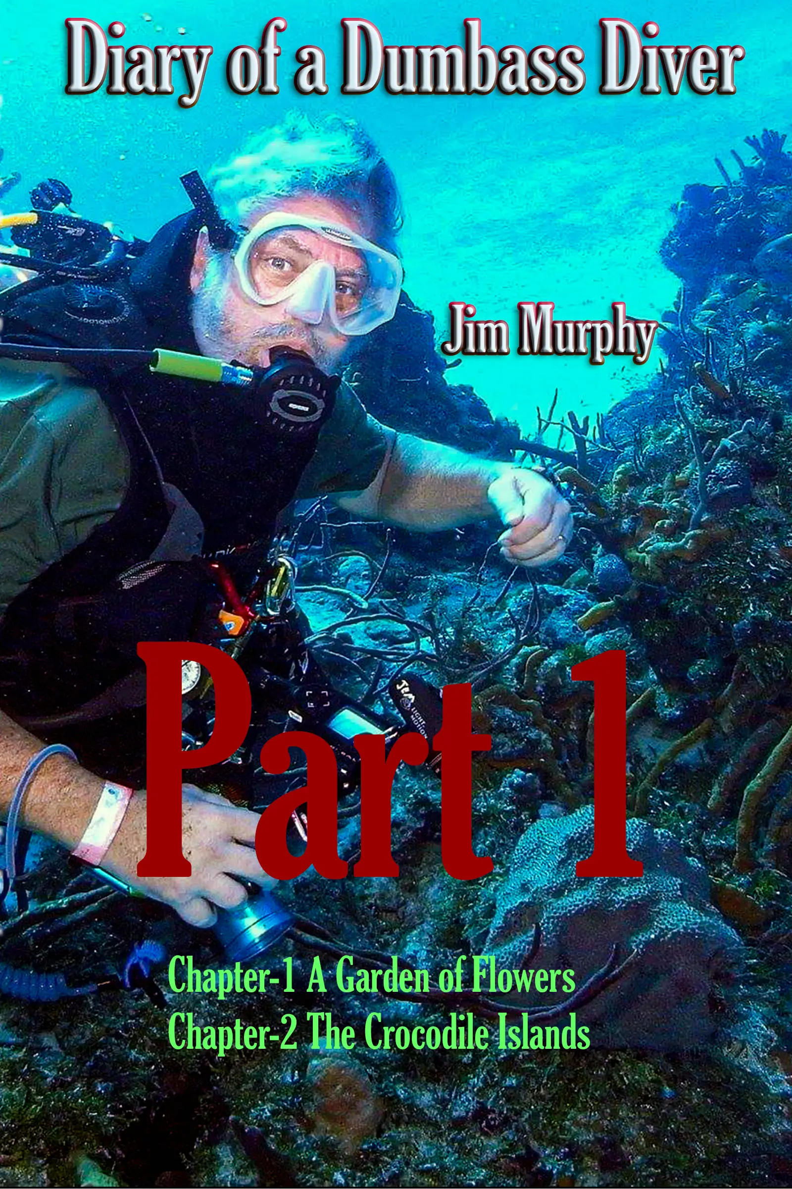 Diary of a Dumbass Diver chapters 1&2