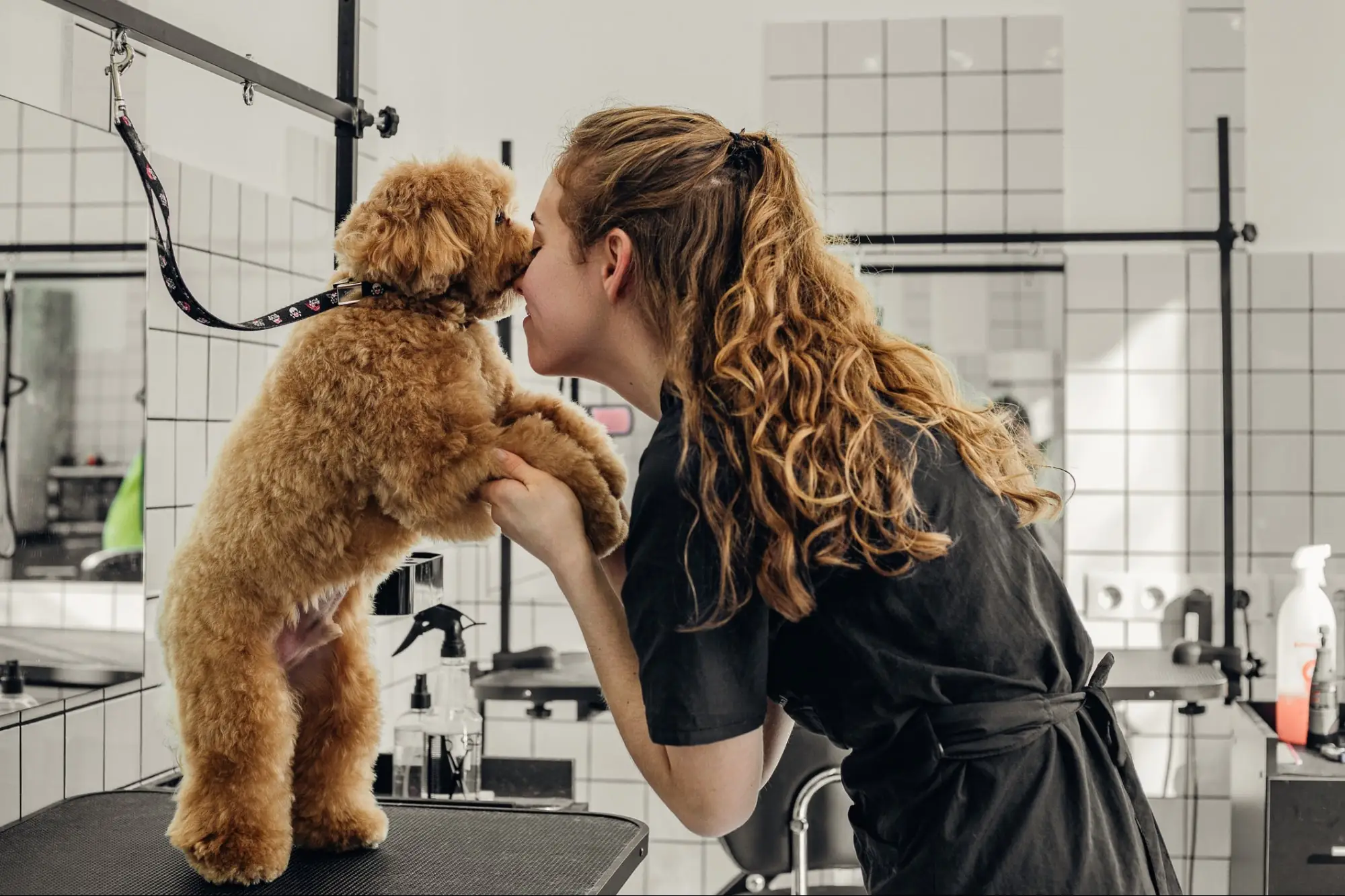 5 Local Business Opportunities That Could Make You a Fortune in 2026