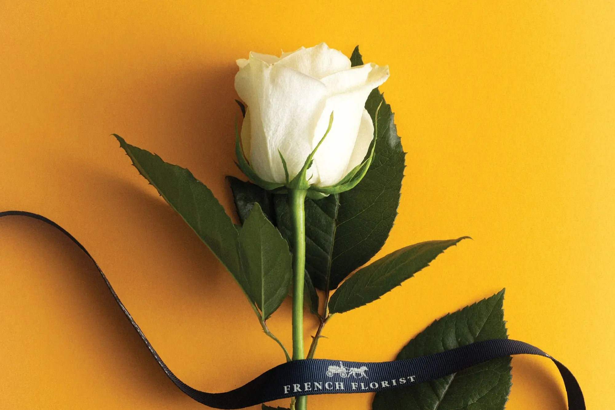 This Florist Saw 3 Problems In the Flower Industry. Now His Business Is Growing Like Crazy.