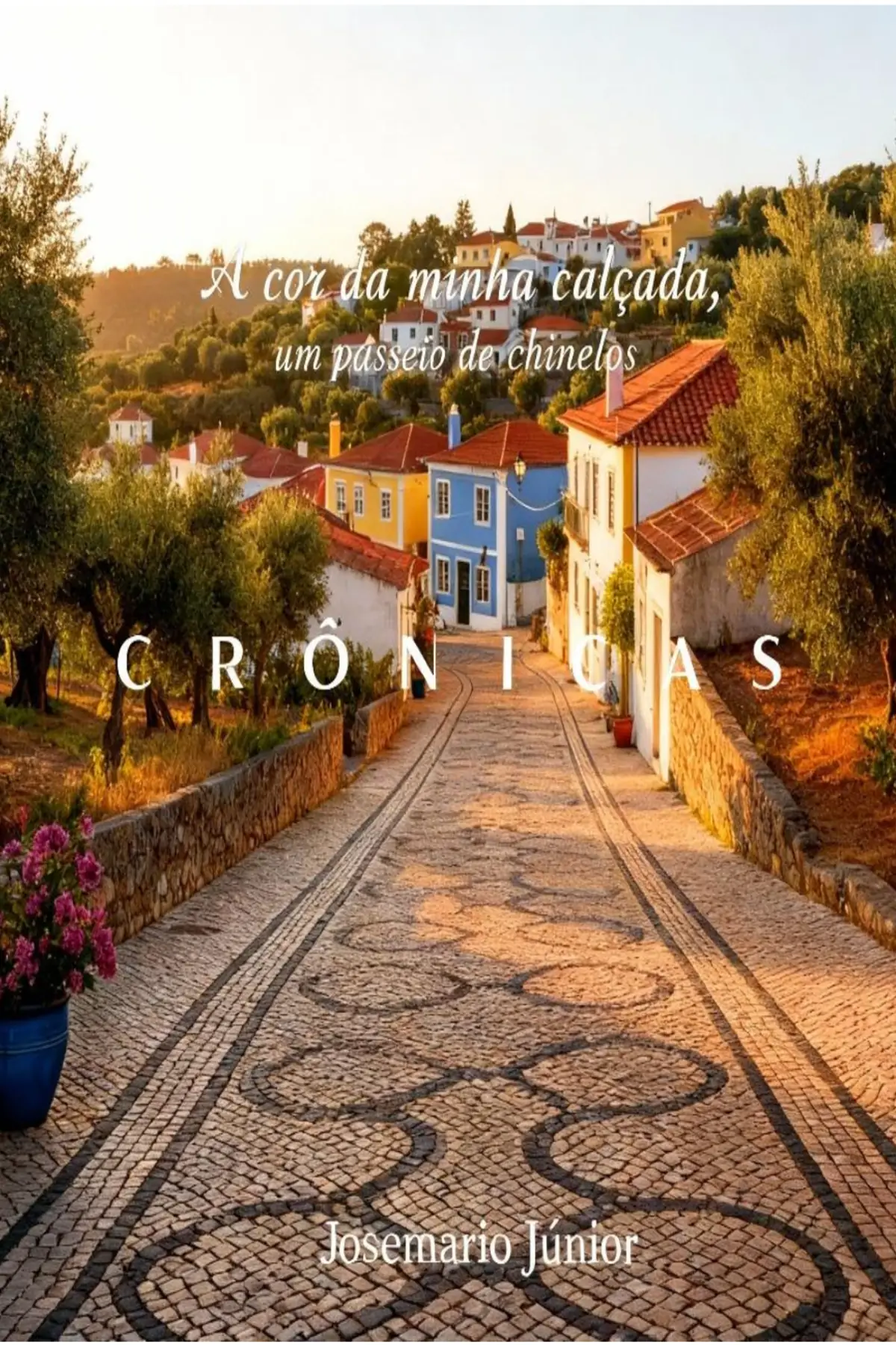 A cor da minha calçada, um passeio de chinelos