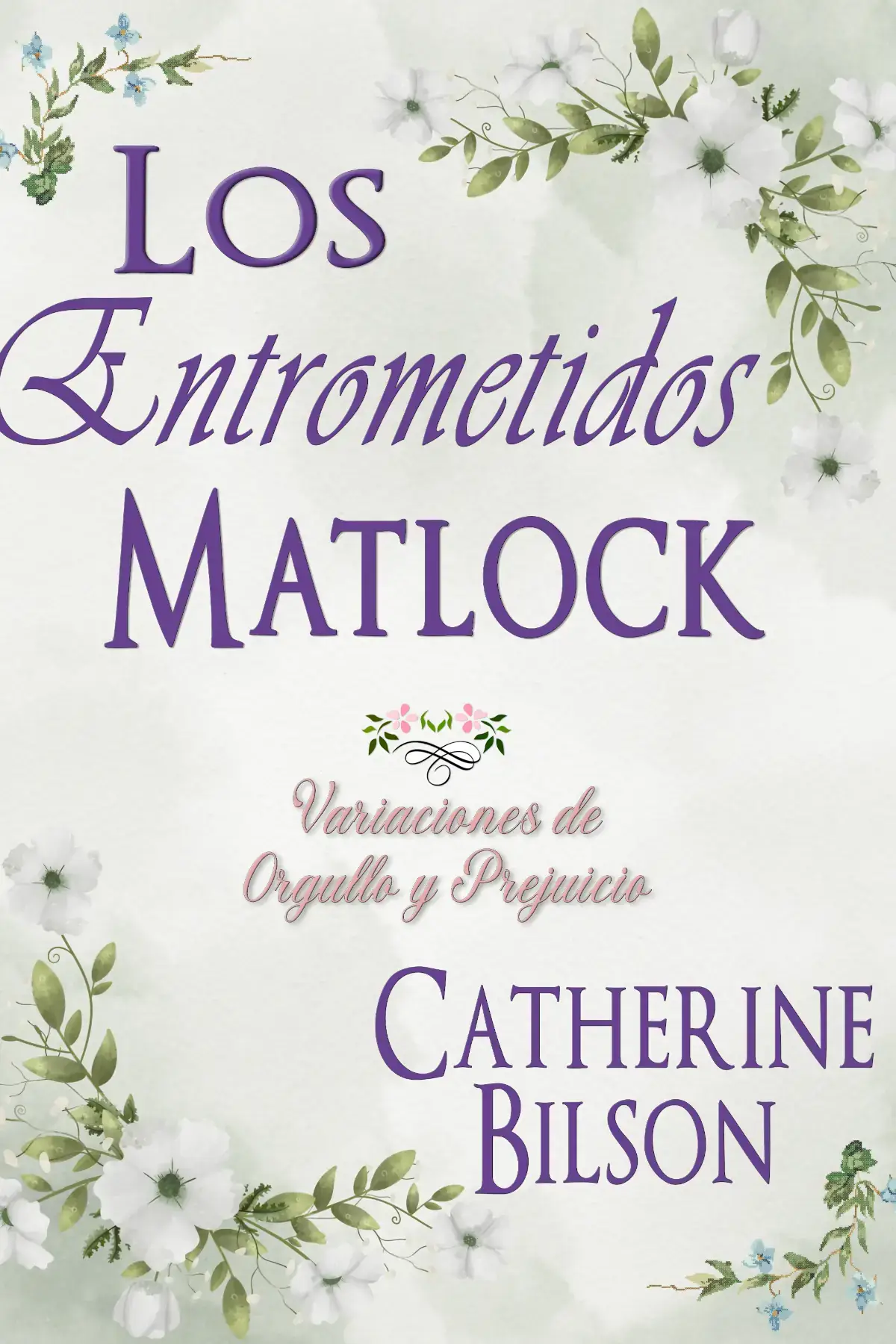 Los Entrometidos Matlock