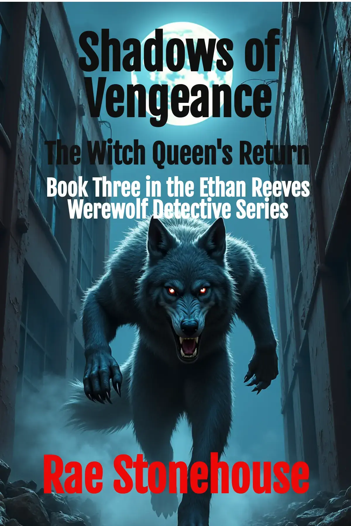 Shadows of Vengeance 