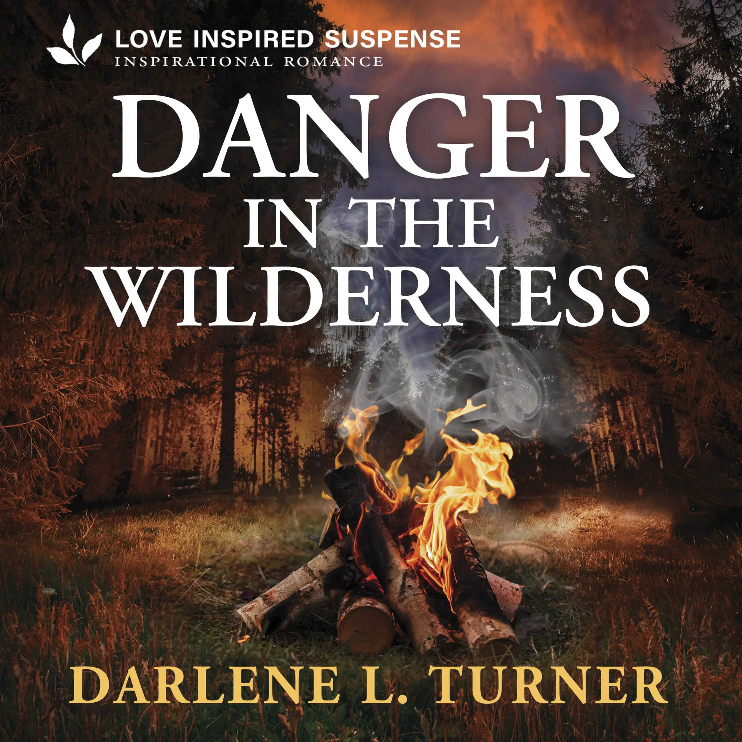 Danger in the Wilderness