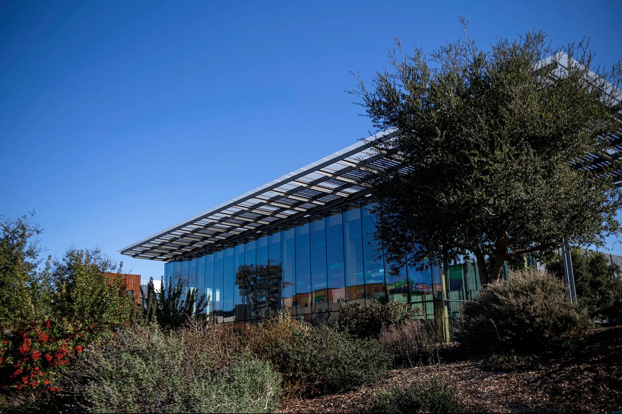 Microsoft Is Laying Off Over 6,000 Employees, About 3% of Its Workforce. Here's Why.