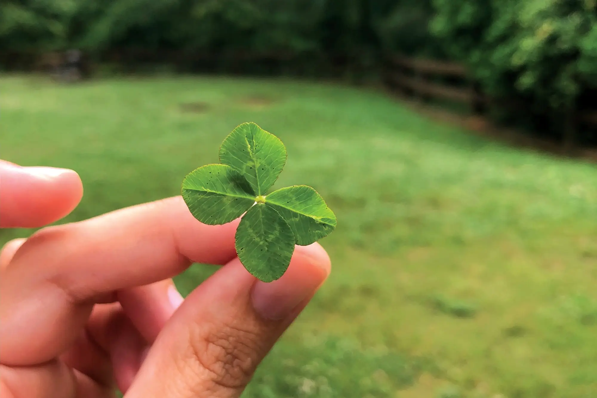 Why Are Some People Lucky, and Others Not?