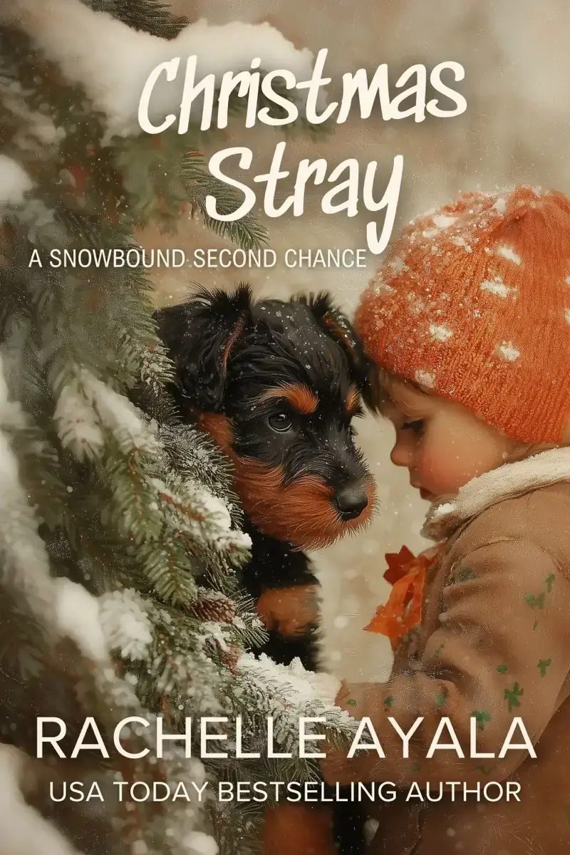 Christmas Stray: A Snowbound Second Chance