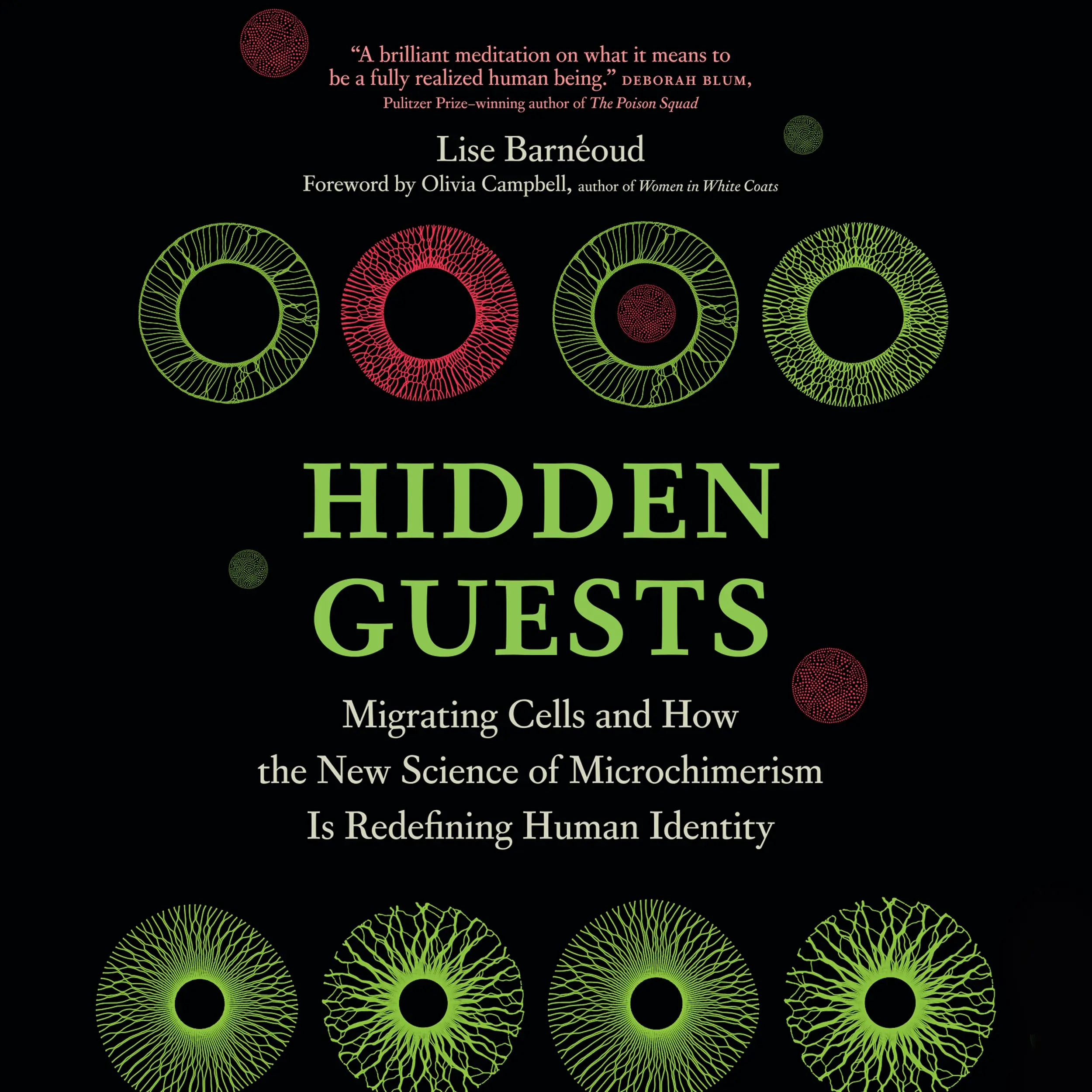 Hidden Guests