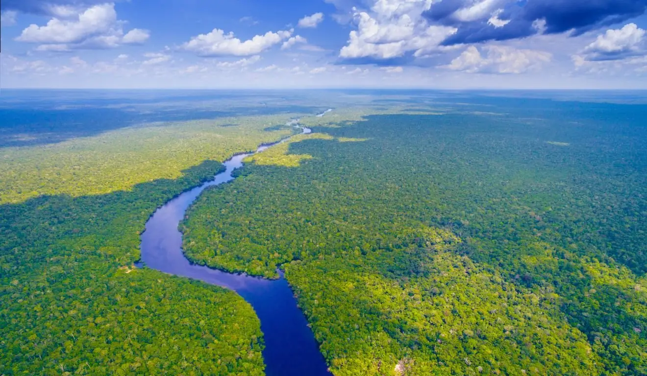 TFFF: a nova fronteira do financiamento climático precisa sair do papel