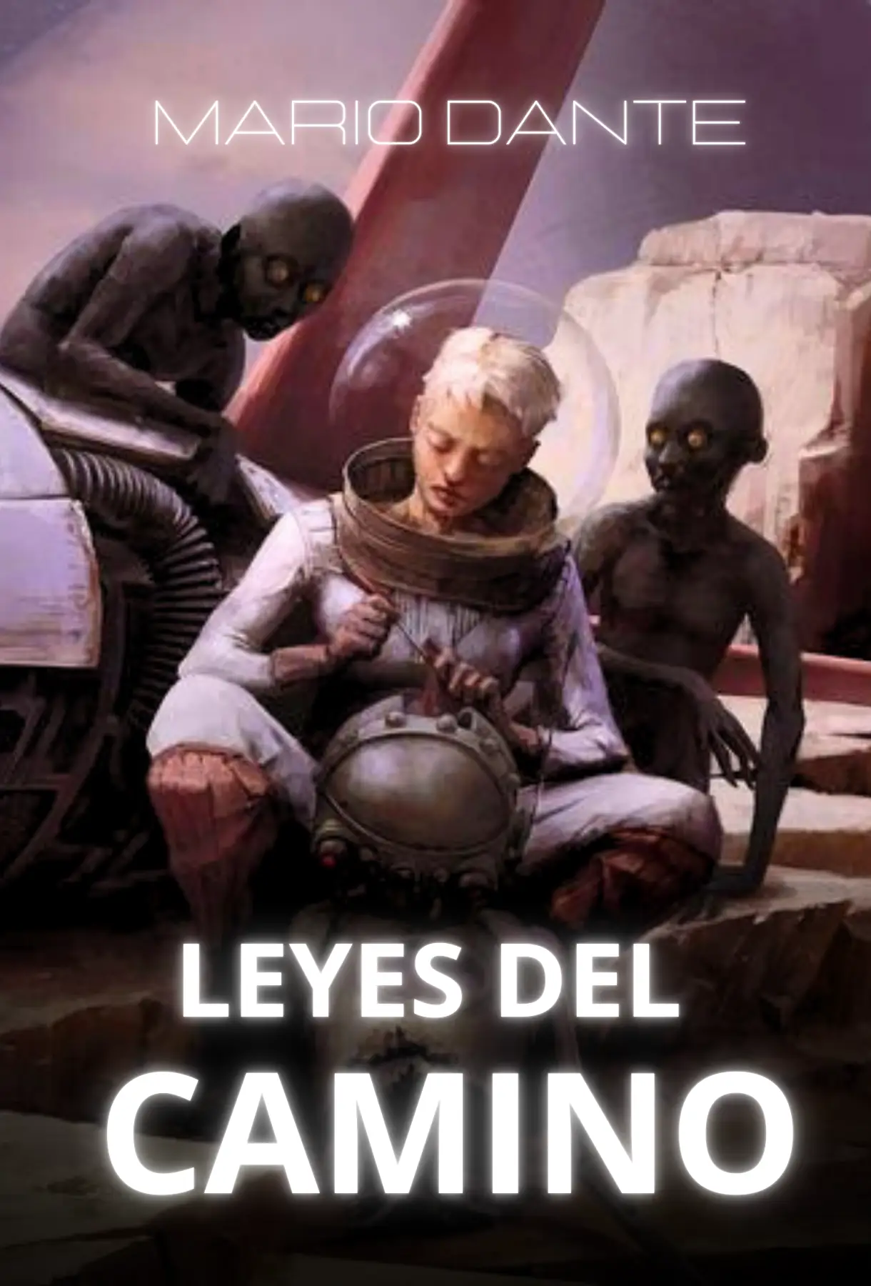 Leyes del Camino