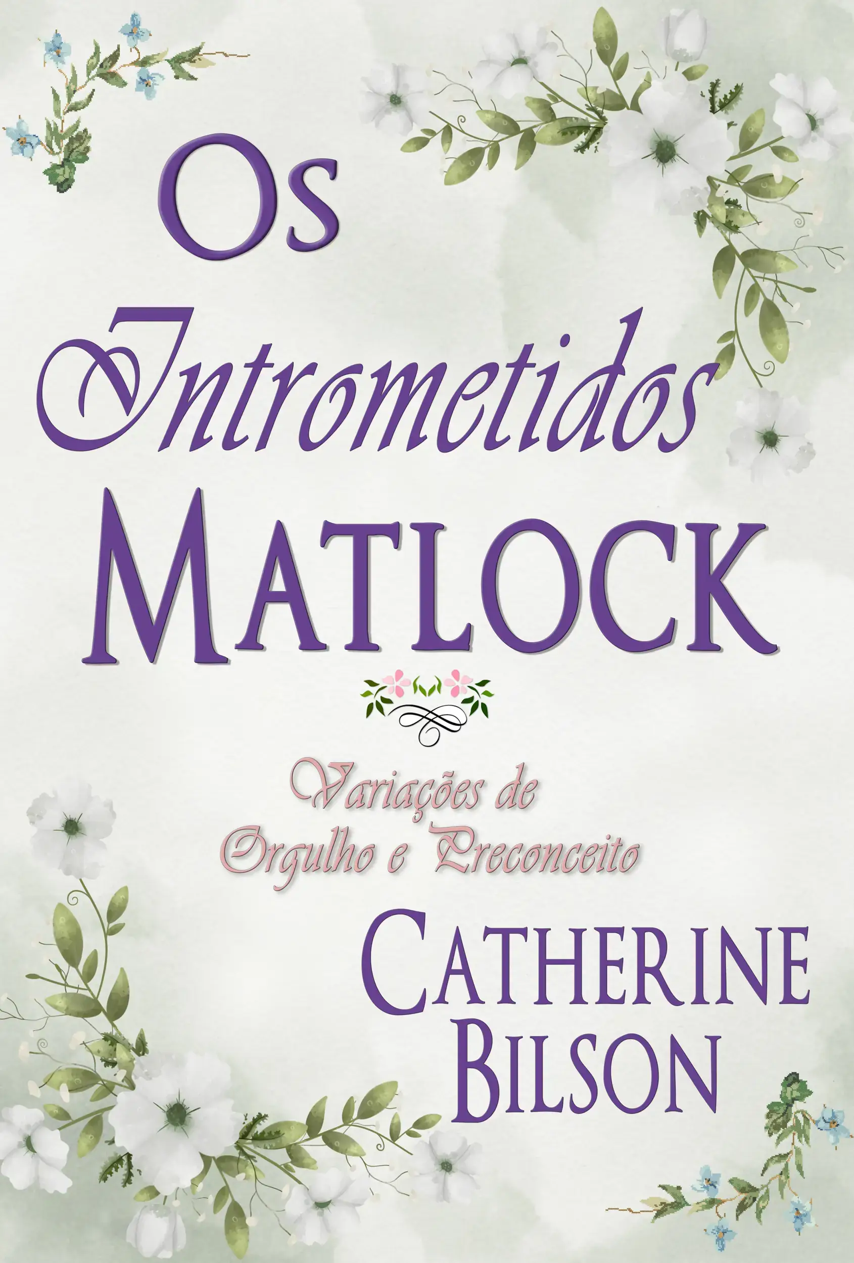 Os Intrometidos Matlock