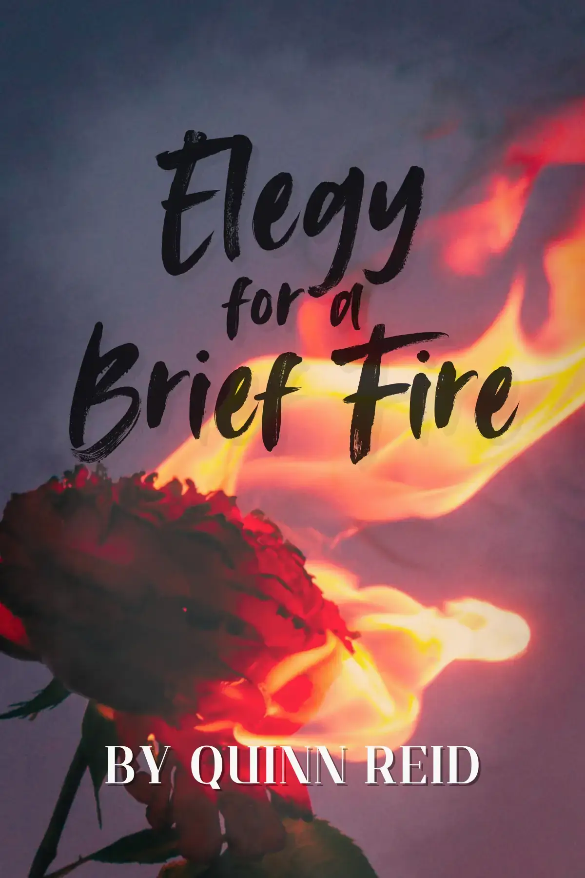 Elegy for a Brief Fire