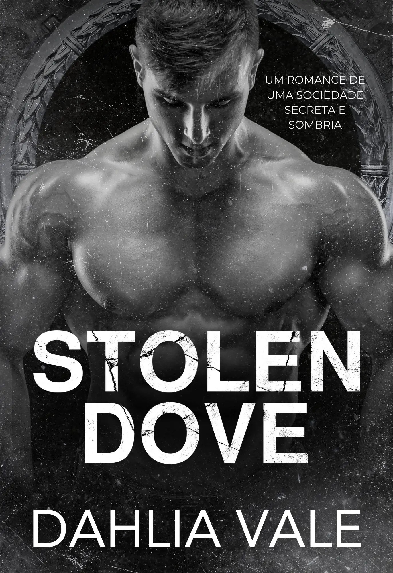 STOLEN DOVE