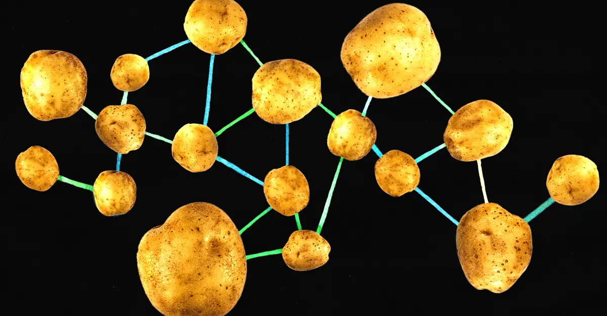 Potatoes Evolved From … Tomatoes?