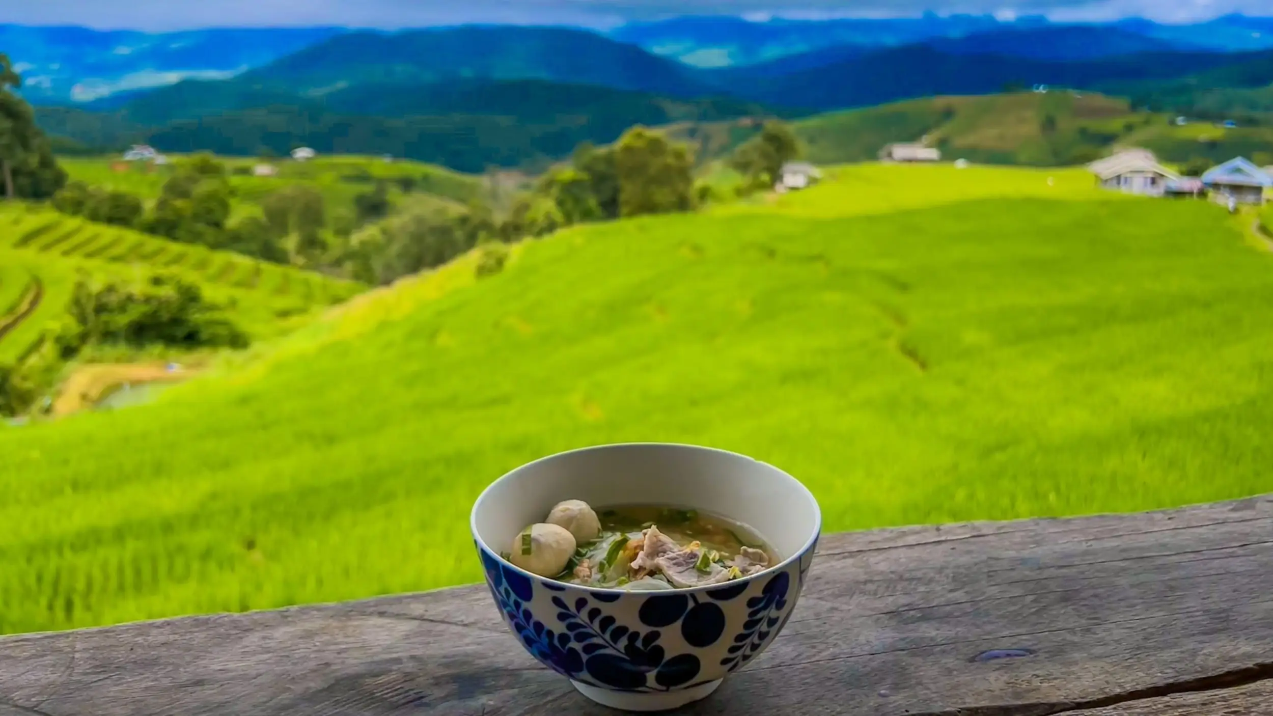 Green Views for Healthier Diets